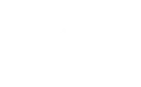 logo item
