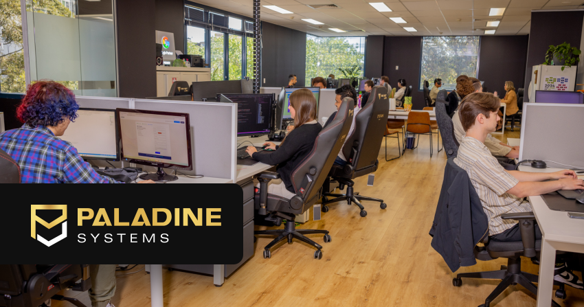 paladine's custom software development team