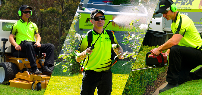 fox mowing banner