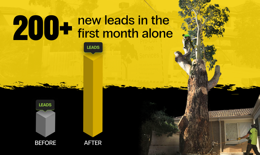 procut trees results banner